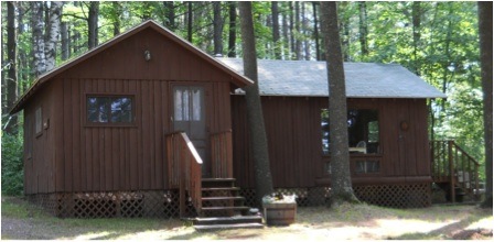 Picture of Spruce